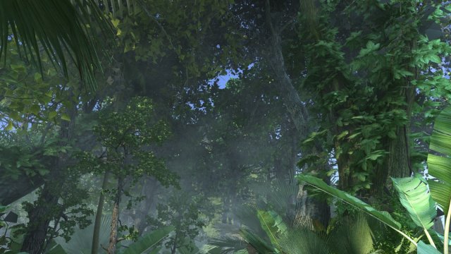 Rainforest 3D Модель .c4d .max .obj .3ds .fbx .stl .blend 
