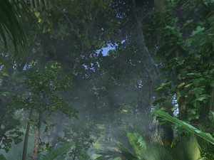 Rainforest 3D Model
