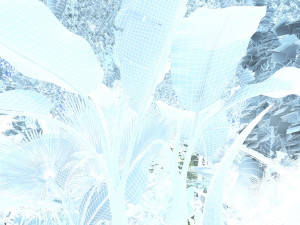 Rainforest 3D Модель