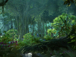 Las deszczowy Model 3D