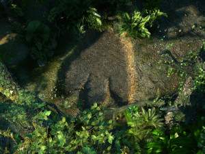 Rainforest 3D Model