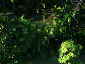 Rainforest 3D Модель
