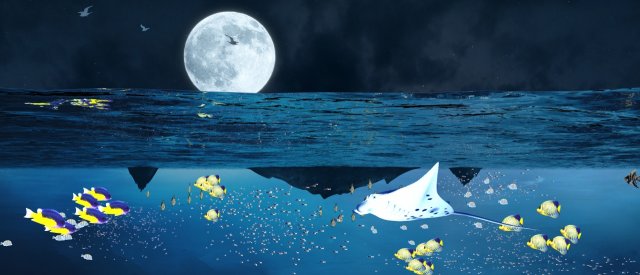 Seabed 3D 모델 .c4d .max .obj .3ds .fbx .stl .blend 