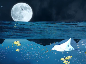 Meeresboden 3D Modell