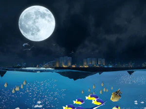 Seabed 3D Model