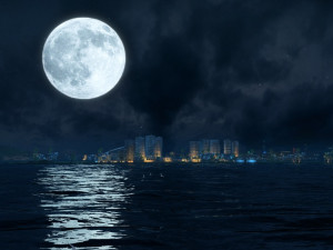 Seabed 3D 모델