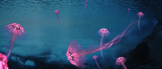 Jellyfish Model 3D .c4d .max .obj .3ds .fbx .stl .blend 