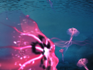 Jellyfish Model 3D