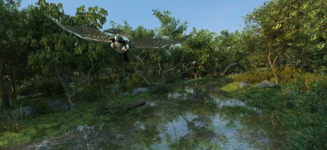 Wetlands 3D Model .c4d .max .obj .3ds .fbx .stl .blend 