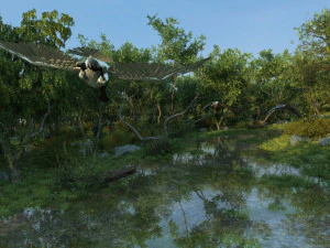 Sulak alanlar 3D Model