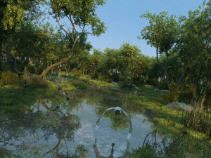 Wetlands 3D Model