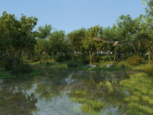 Wetlands 3D Model