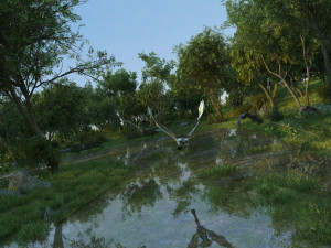 Wetlands 3D Model