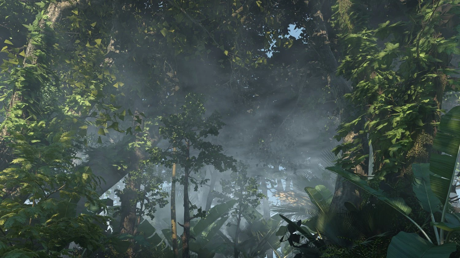 Rainforest 3D Model .c4d .max .obj .3ds .fbx .stl .blend 
