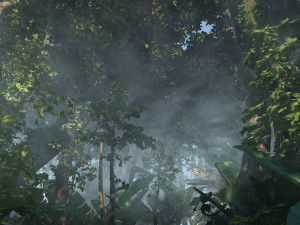 Rainforest 3D 模型