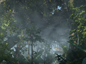 वर्षा वन 3D मॉडल