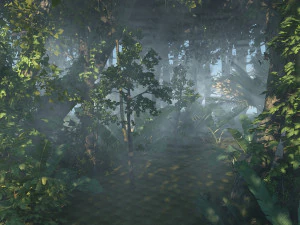 Rainforest 3D Model