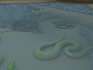 Snake garden Modello 3D