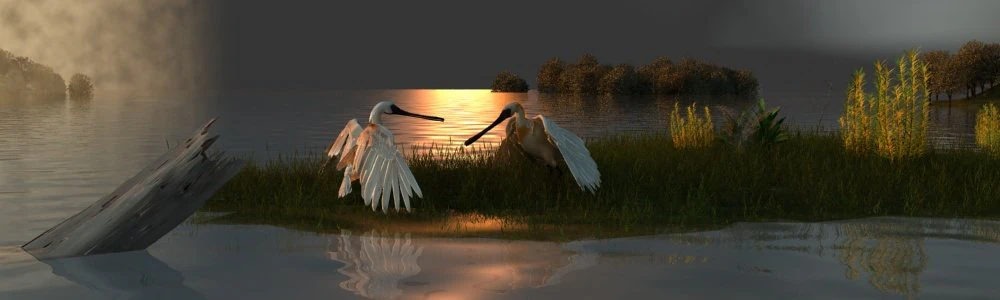 Wetlands 3D Model .c4d .max .obj .3ds .fbx .stl .blend