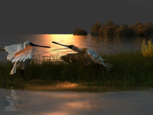 Wetlands 3D-Modell