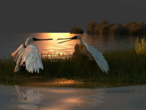 Wetlands 3D-Modell
