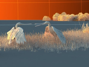 Wetlands 3D-Modell