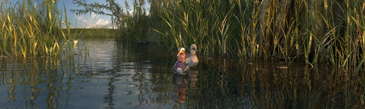 Wetlands 3D Model .c4d .max .obj .3ds .fbx .stl .blend