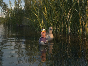 Wetlands Modelo 3D