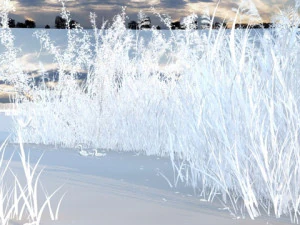 Wetlands 3D Model