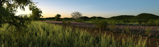 Wetlands 3D Model .c4d .max .obj .3ds .fbx .stl .blend 