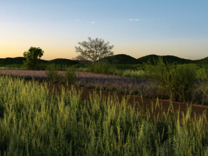 Wetlands 3D Model