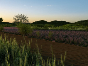 Wetlands 3D Model