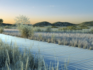 Wetlands 3D Model