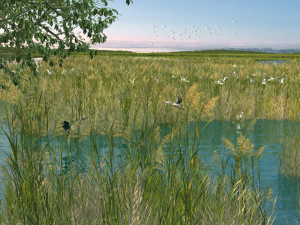 Wetlands 3Dモデル