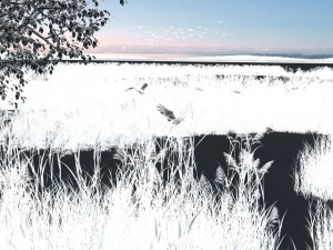 Wetlands 3Dモデル