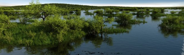 Wetlands Modèle 3D .c4d .max .obj .3ds .fbx .stl .blend 