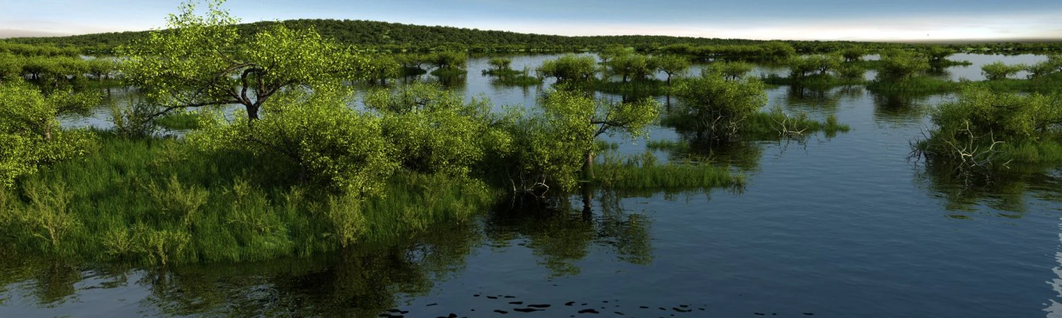 Wetlands 3D Model .c4d .max .obj .3ds .fbx .stl .blend 