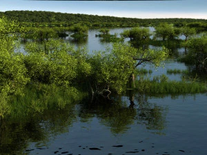 Wetlands 3D Model