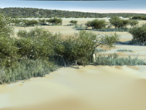 Wetlands Modèle 3D
