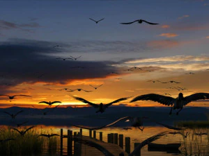 Wetlands 3D Model