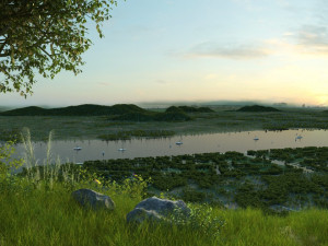 Wetlands 3D मॉडल