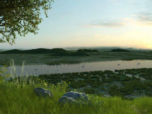 Wetlands 3D Model