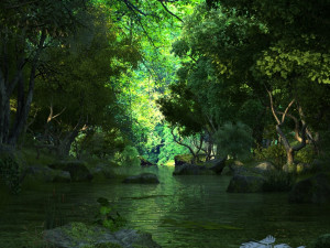 Rainforest 3D Model