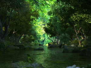 Las deszczowy Model 3D