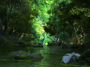 Rainforest 3D Модель