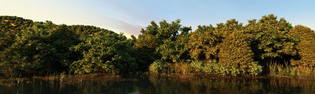 Wetlands 3D Model .c4d .max .obj .3ds .fbx .stl .blend 