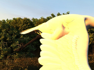 Wetlands 3D Model