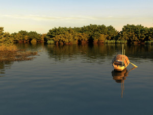 Wetlands 3D Model