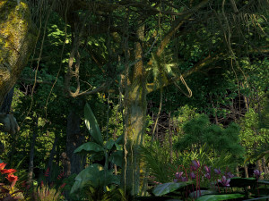 Rainforest 3D 模型