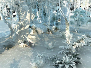 Rainforest 3D Model